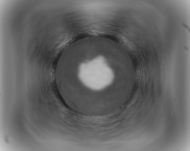 X0000091530043200708171230