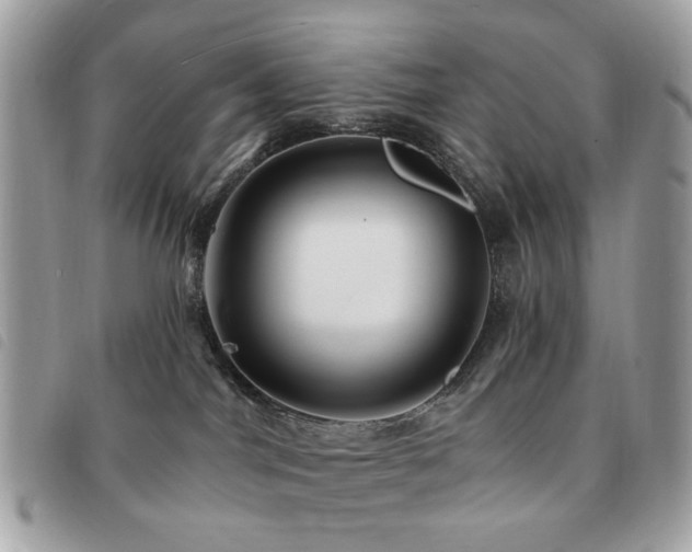 X0000091530044200708171230