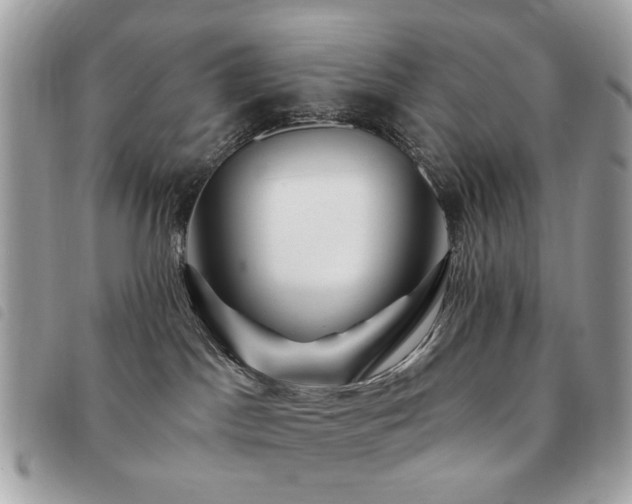 X0000091530045200708171230
