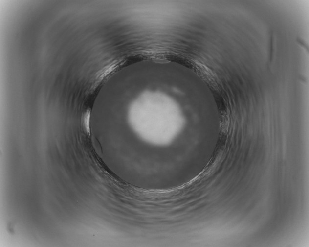 X0000091530047200708171230