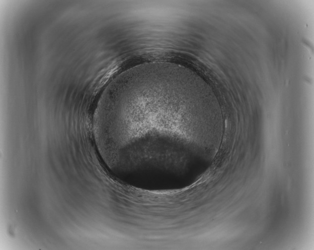 X0000091530048200708171230