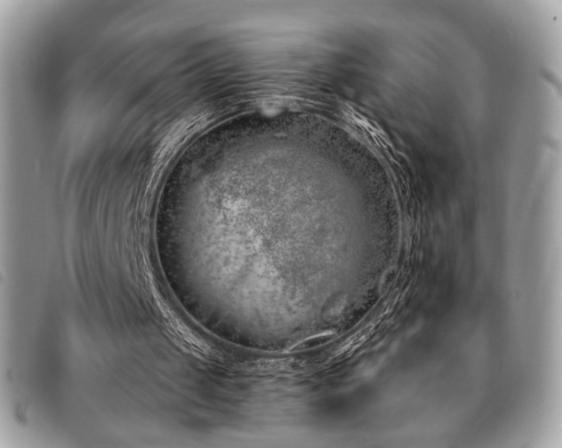 X0000091530049200708171230