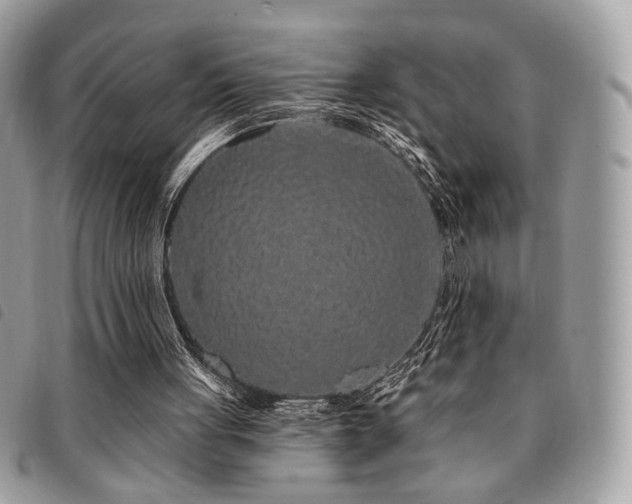 X0000091530051200708171230
