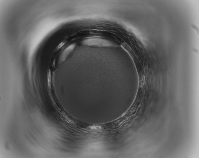 X0000091530052200708171230