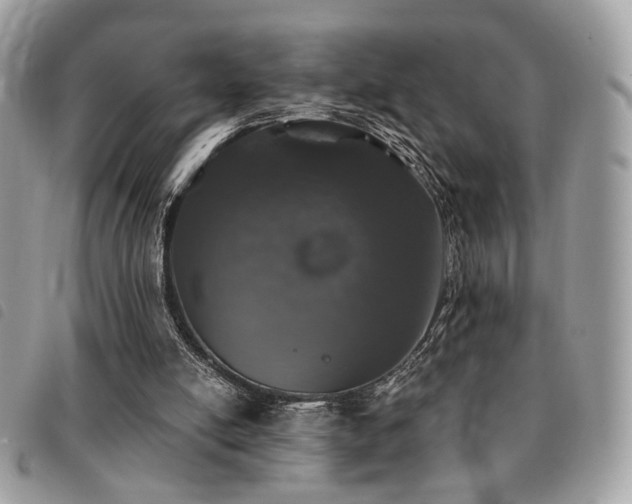 X0000091530054200708171230