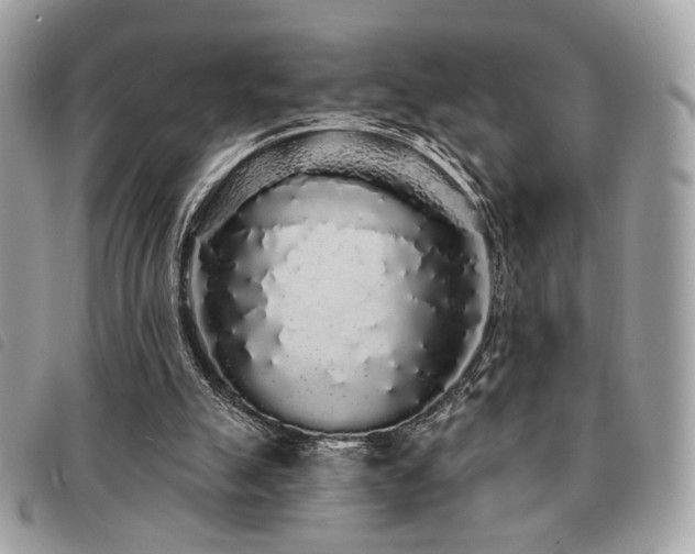 X0000091530055200708171230