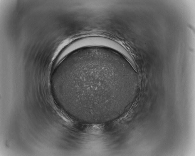 X0000091530056200708171230