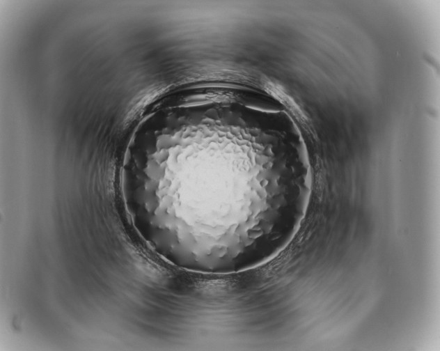 X0000091530058200708171230