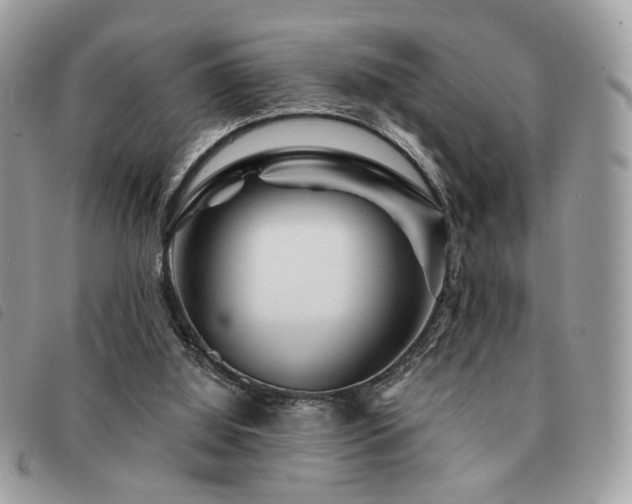 X0000091530060200708171230