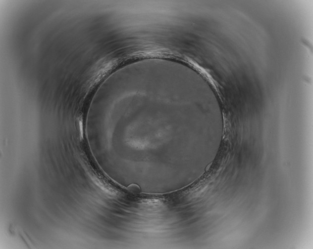 X0000091530061200708171230