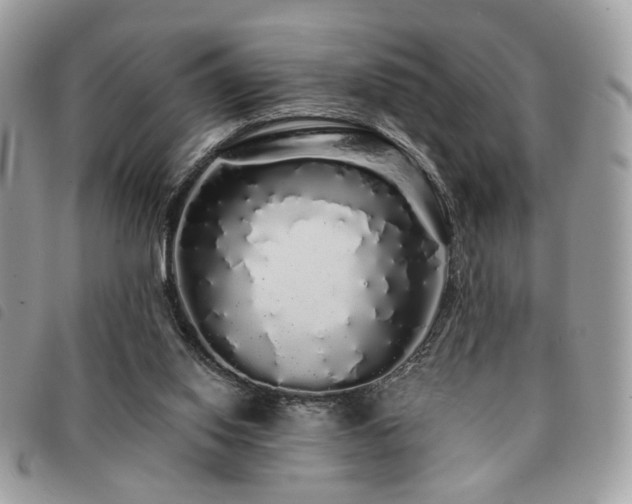 X0000091530062200708171230