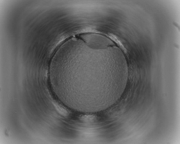 X0000091530063200708171230