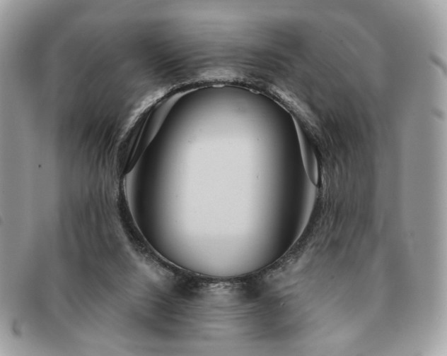 X0000091530064200708171230