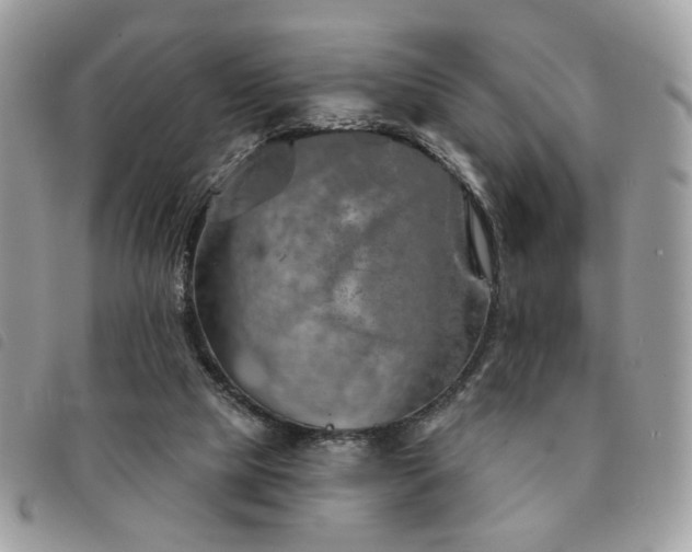 X0000091530065200708171230