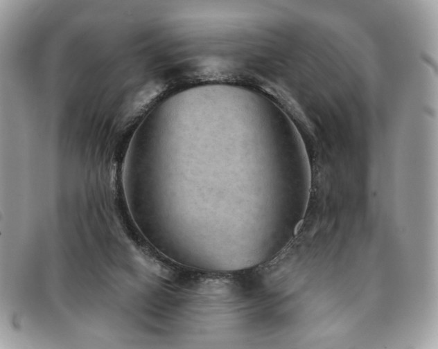 X0000091530066200708171230