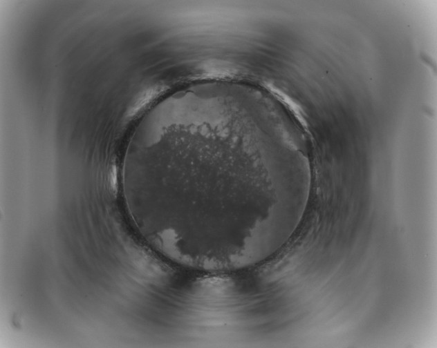 X0000091530067200708171230