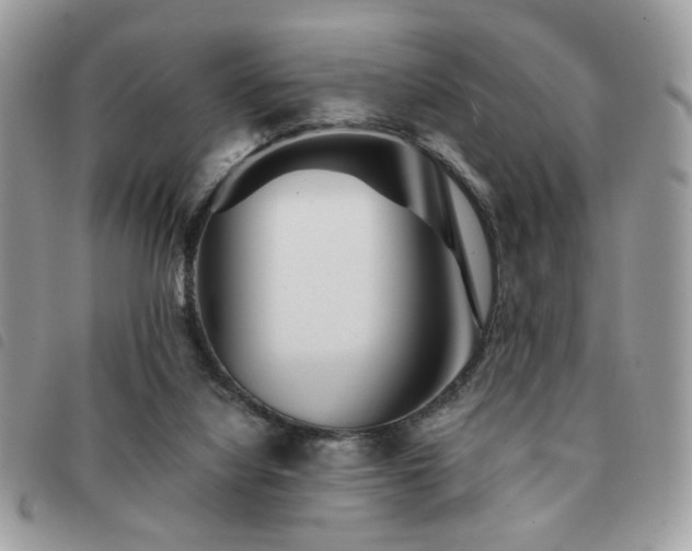 X0000091530068200708171230