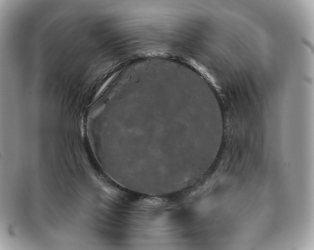 X0000091530069200708171230