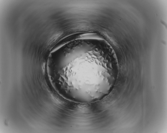 X0000091530070200708171230