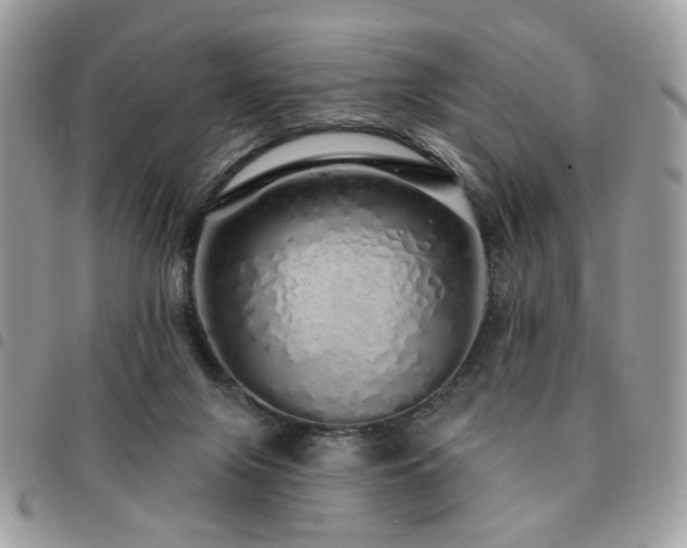 X0000091530071200708171230