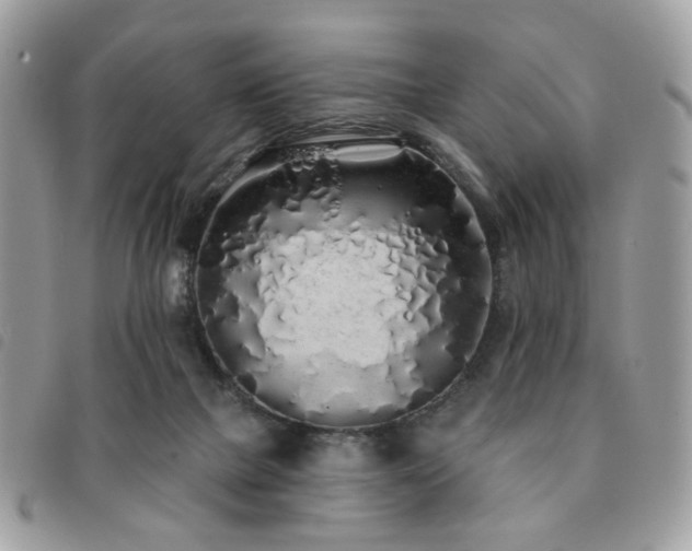 X0000091530073200708171230