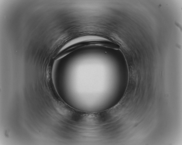 X0000091530074200708171230