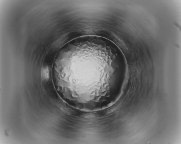 X0000091530075200708171230