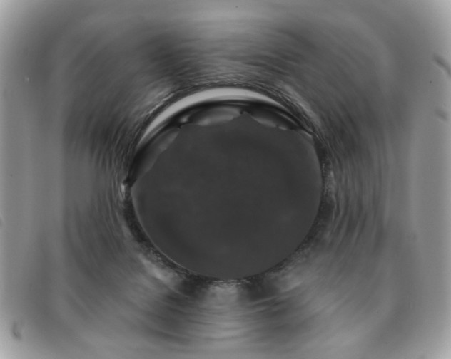 X0000091530076200708171230
