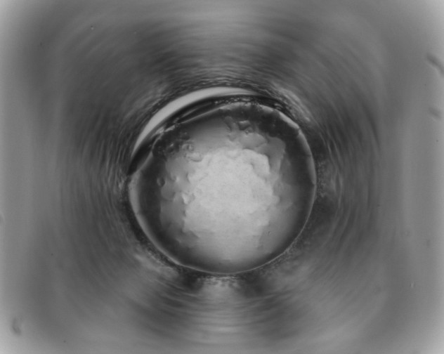X0000091530077200708171230