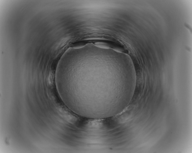 X0000091530078200708171230
