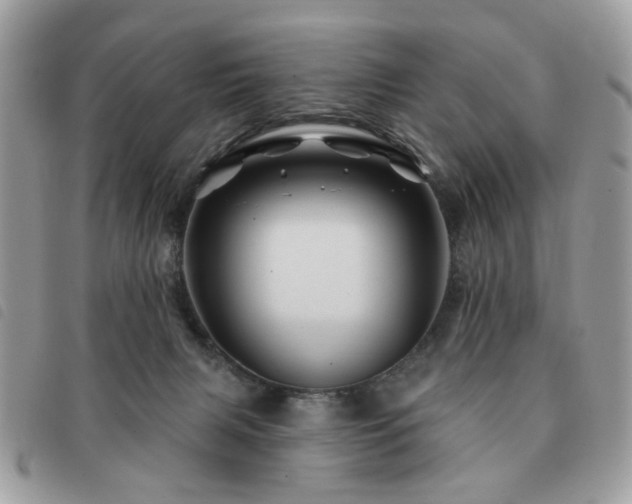 X0000091530079200708171230