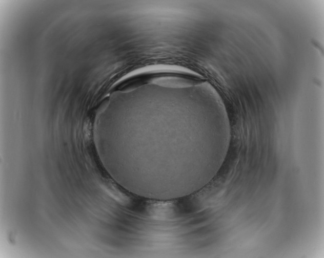 X0000091530081200708171230