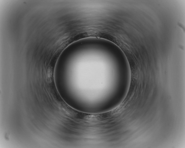 X0000091530082200708171230