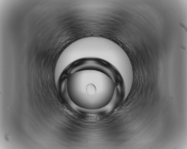 X0000091530084200708171230