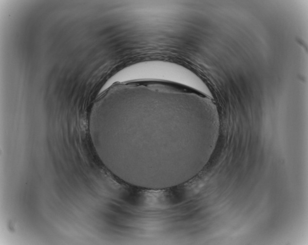 X0000091530085200708171230