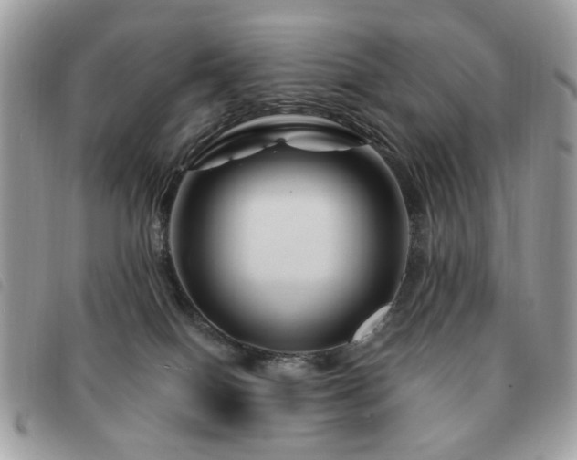 X0000091530086200708171230