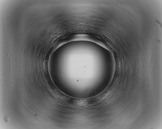X0000091530088200708171230