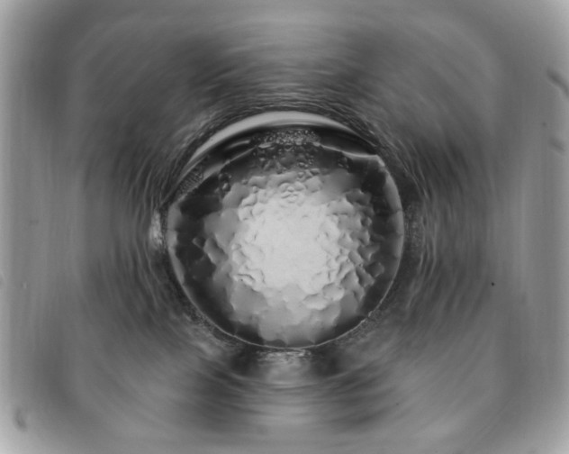 X0000091530089200708171230