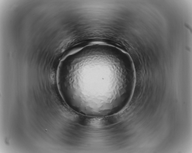 X0000091530090200708171230