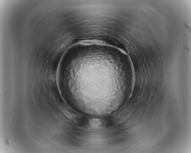 X0000091530091200708171230