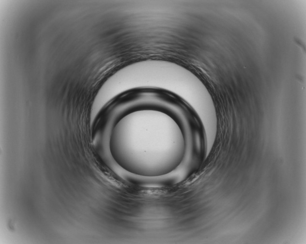 X0000091530092200708171230