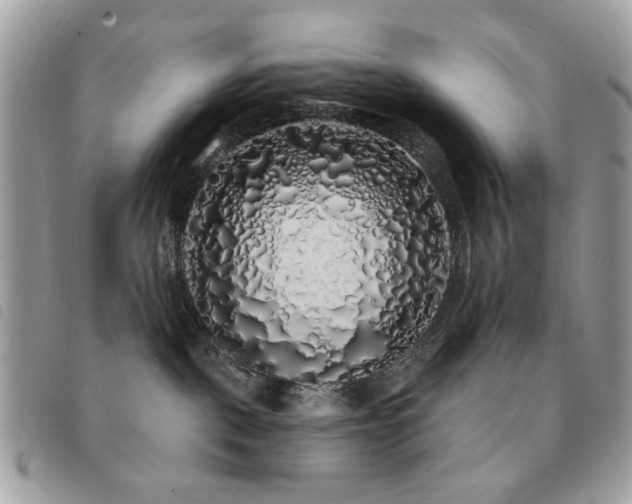 X0000091530093200708171230