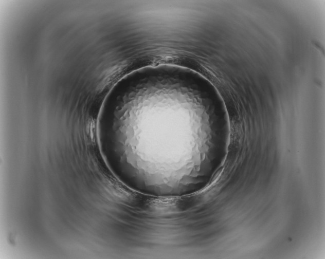 X0000091530094200708171230