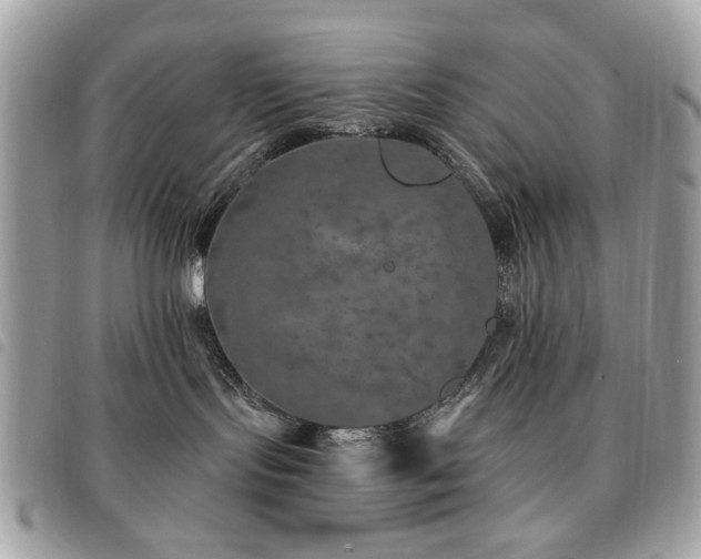 X0000091530095200708171230