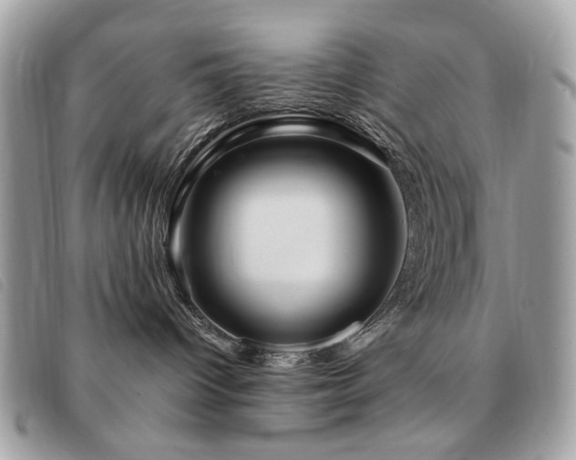 X0000091530096200708171230
