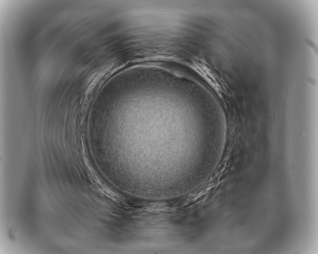 X0000091530097200708171230