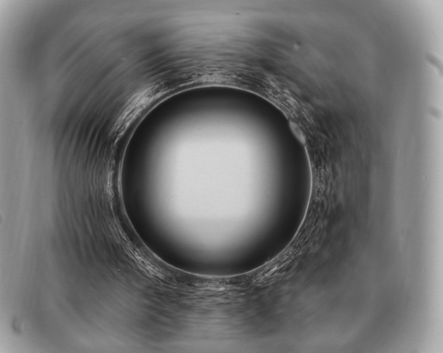X0000091530098200708171230