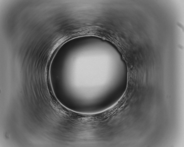 X0000091530100200708171230