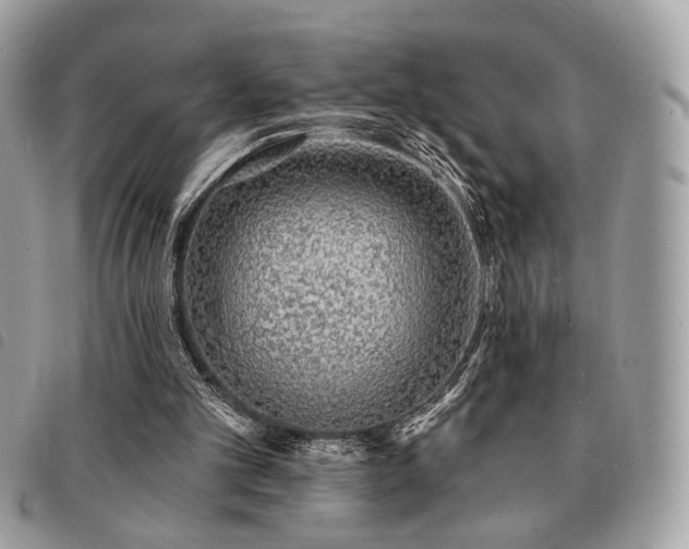 X0000091530101200708171230