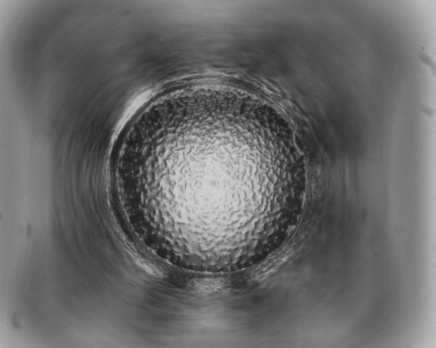 X0000091530102200708171230